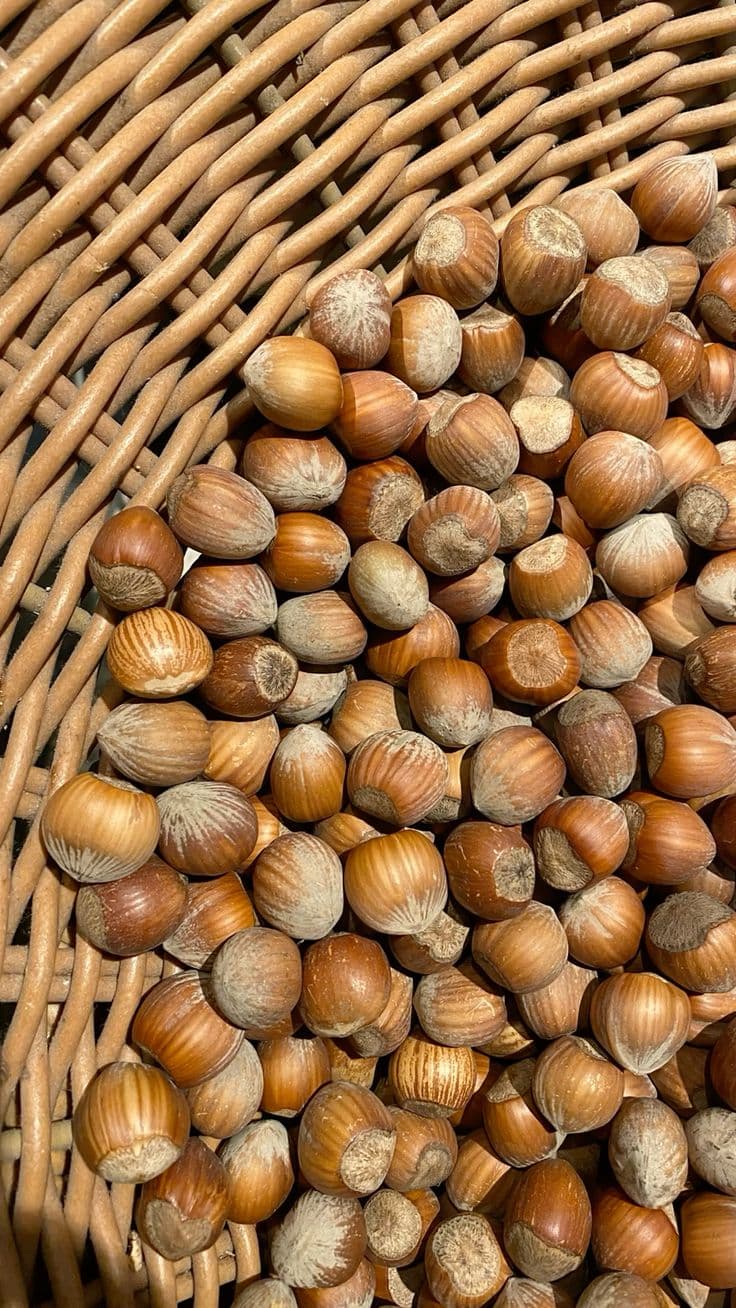 Giresun Fındığı 5 kg