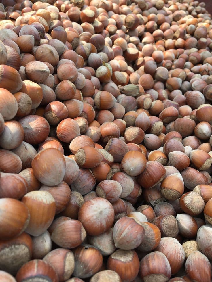 Giresun Fındığı 10 kg